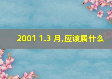 2001 1.3 月,应该属什么